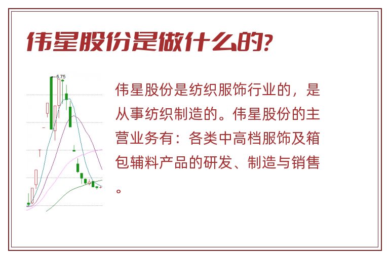 伟星股份是做什么的?