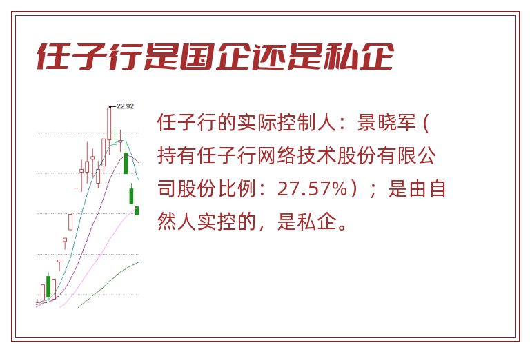 任子行是国企还是私企