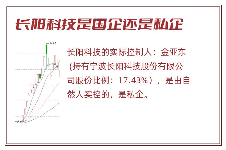 长阳科技是国企还是私企