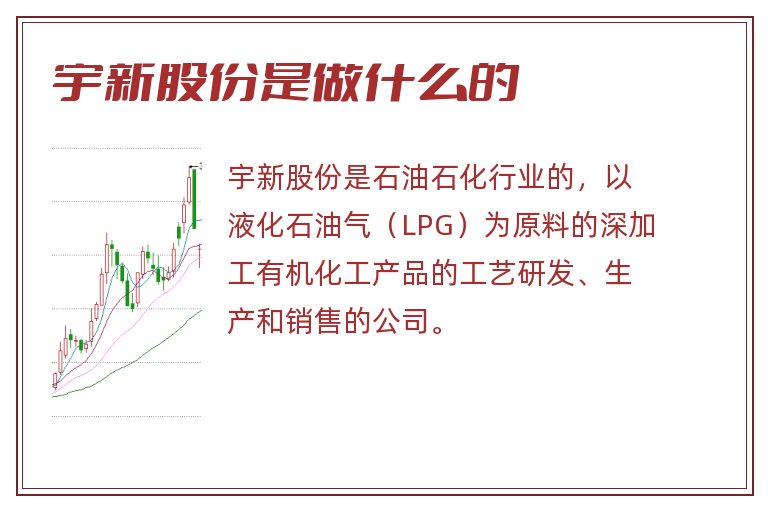 宇新股份是做什么的