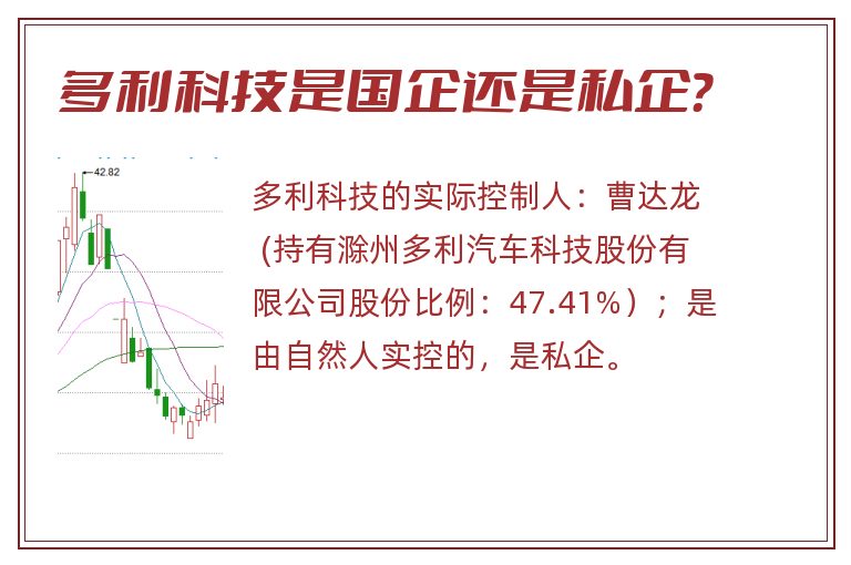 多利科技是国企还是私企？