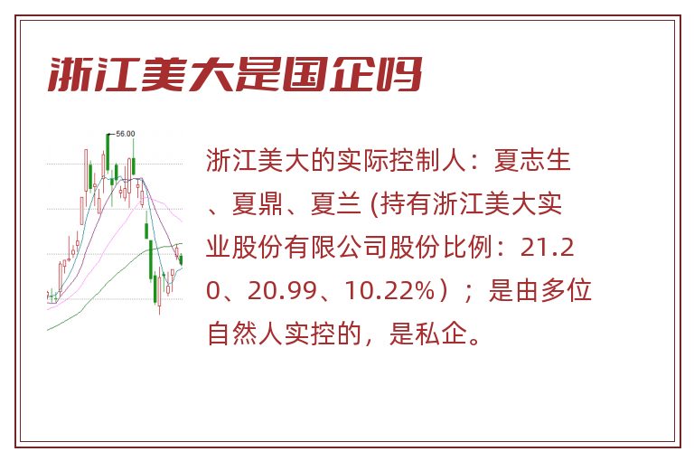 浙江美大是国企吗