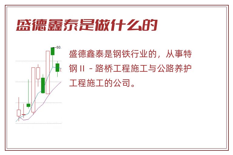 盛德鑫泰是做什么的