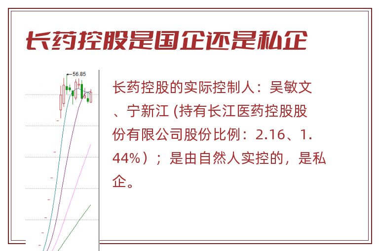 长药控股是国企还是私企