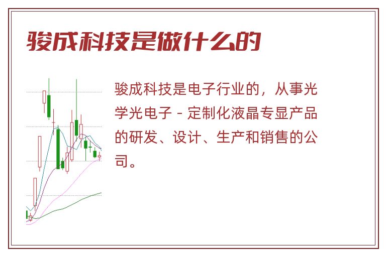 骏成科技是做什么的