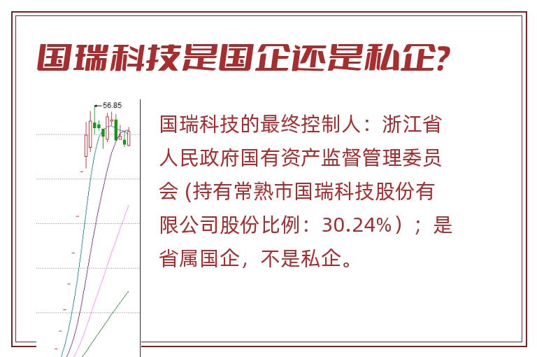 国瑞科技是国企还是私企？