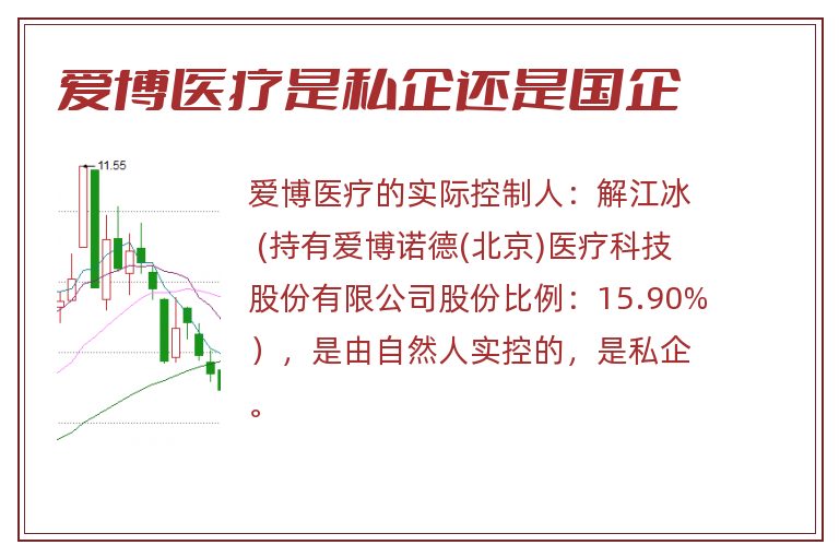 爱博医疗是私企还是国企