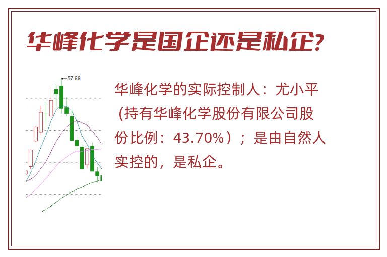 华峰化学是国企还是私企?