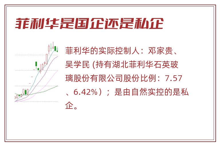 菲利华是国企还是私企