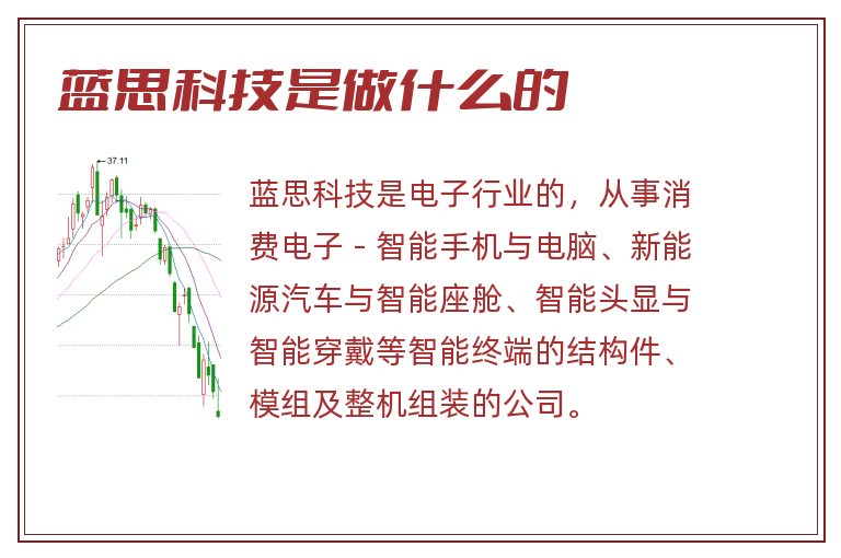 蓝思科技是做什么的