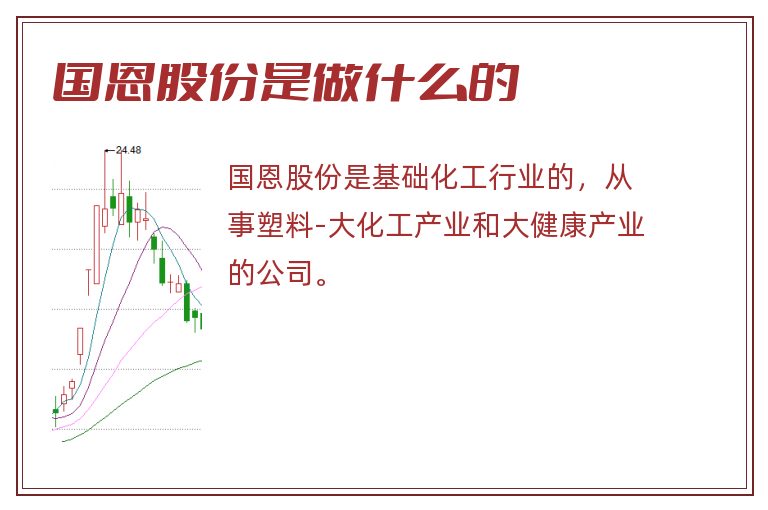 国恩股份是做什么的