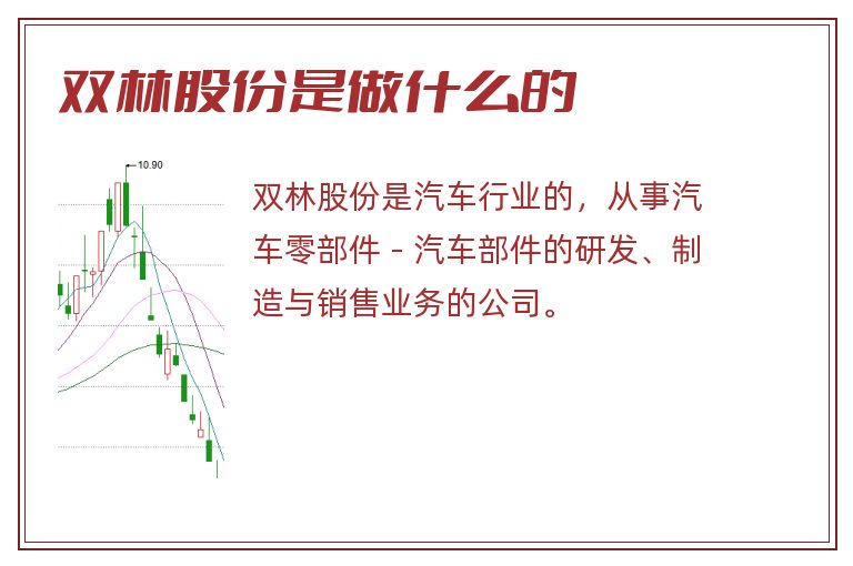 双林股份是做什么的