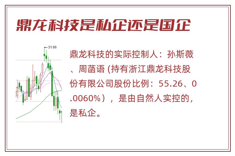 鼎龙科技是私企还是国企