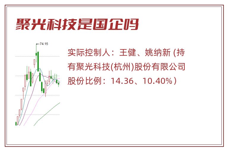 聚光科技是国企吗