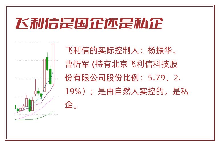 飞利信是国企还是私企