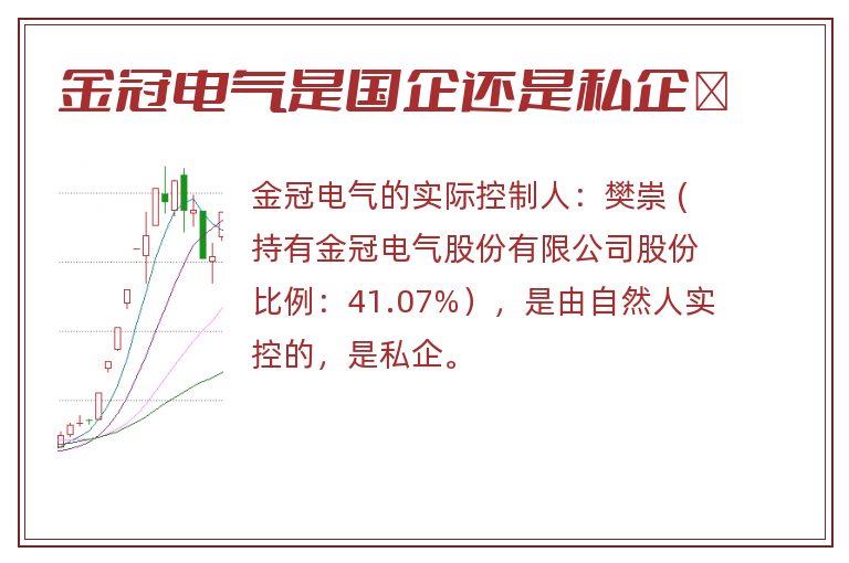 金冠电气是国企还是私企	