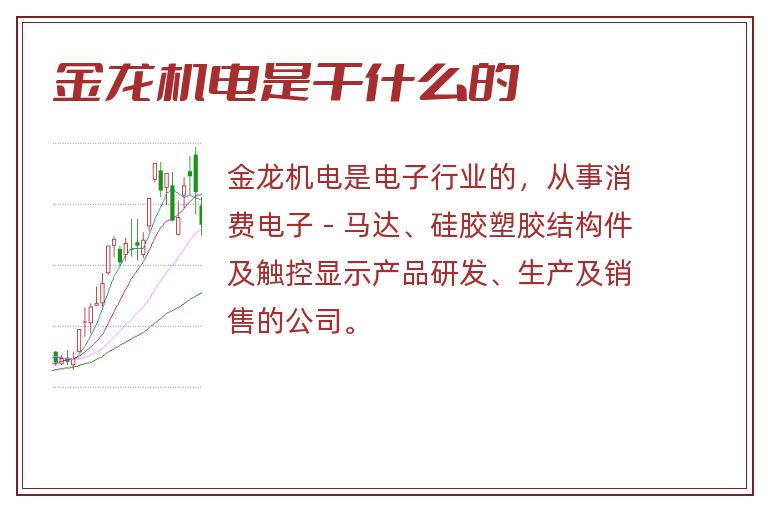 金龙机电是干什么的