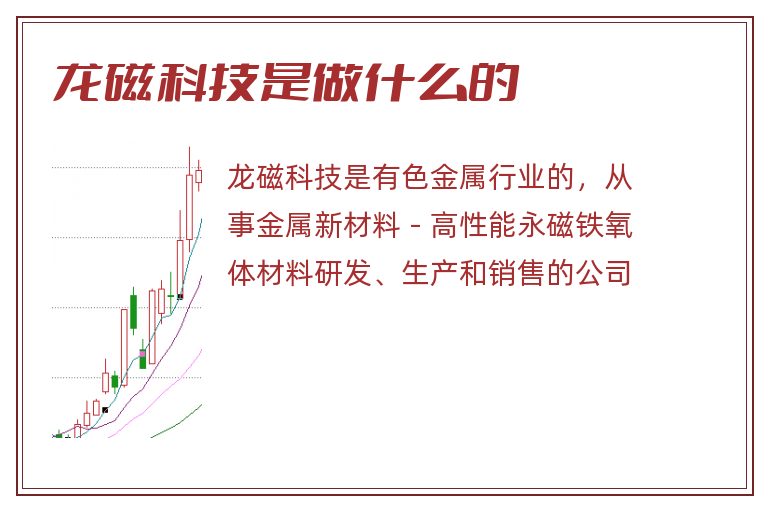 龙磁科技是做什么的