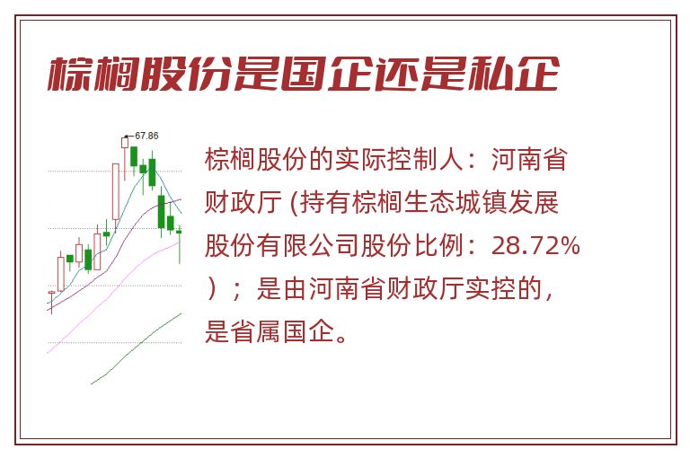 棕榈股份是国企还是私企