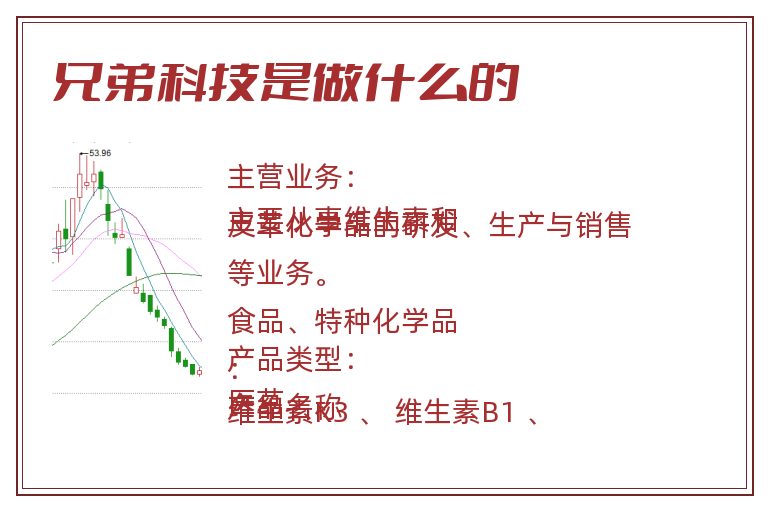 兄弟科技是做什么的