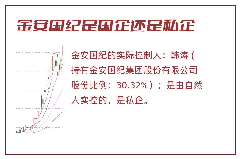 金安国纪是国企还是私企