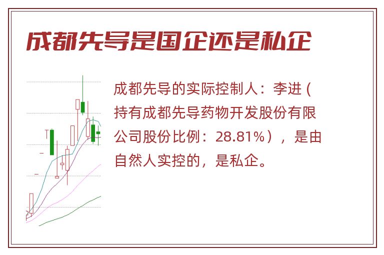 成都先导是国企还是私企