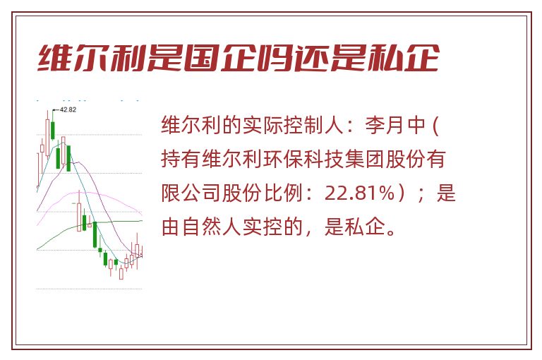 维尔利是国企吗还是私企