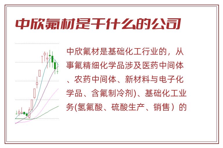 中欣氟材是干什么的公司