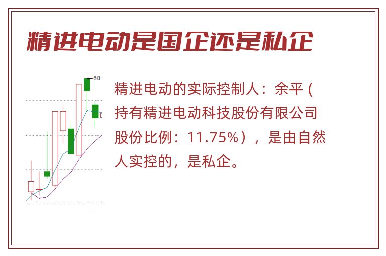 精进电动是国企还是私企