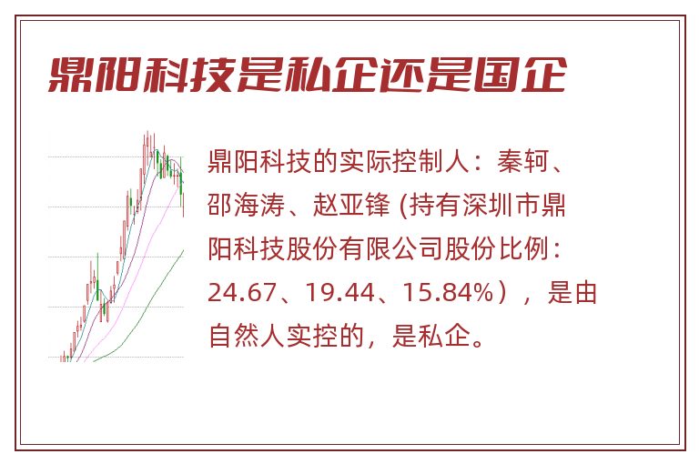 鼎阳科技是私企还是国企