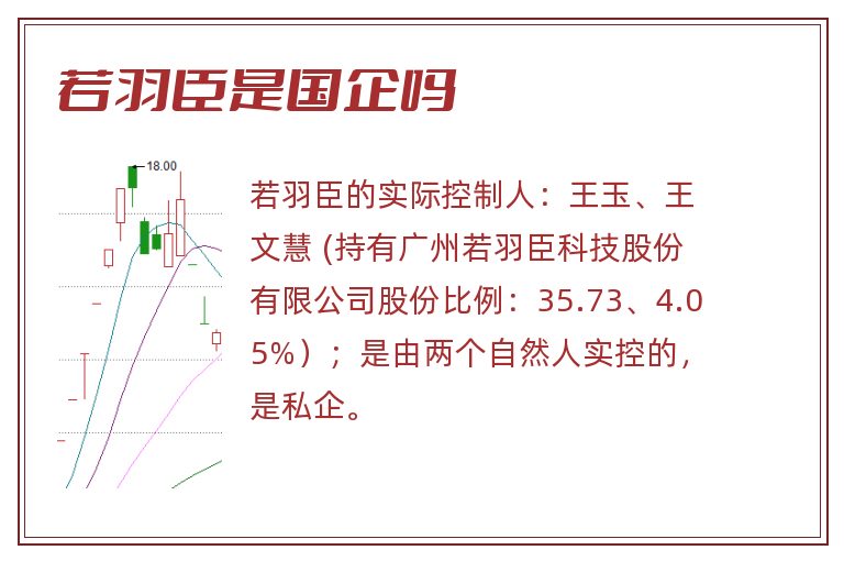 若羽臣是国企吗