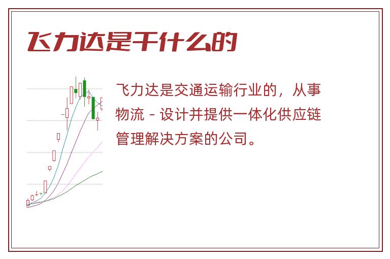 飞力达是干什么的
