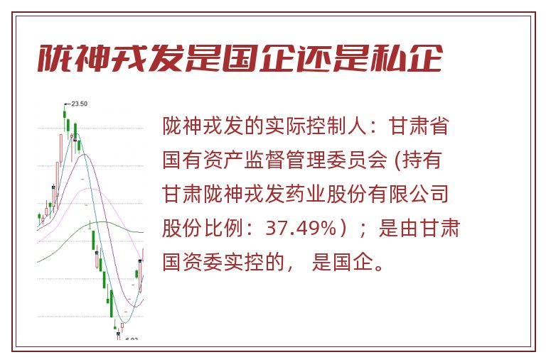 陇神戎发是国企还是私企