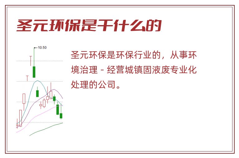 圣元环保是干什么的