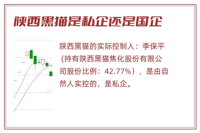 陕西黑猫是私企还是国企