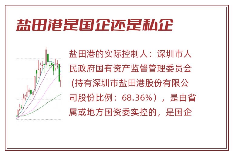 盐田港是国企还是私企