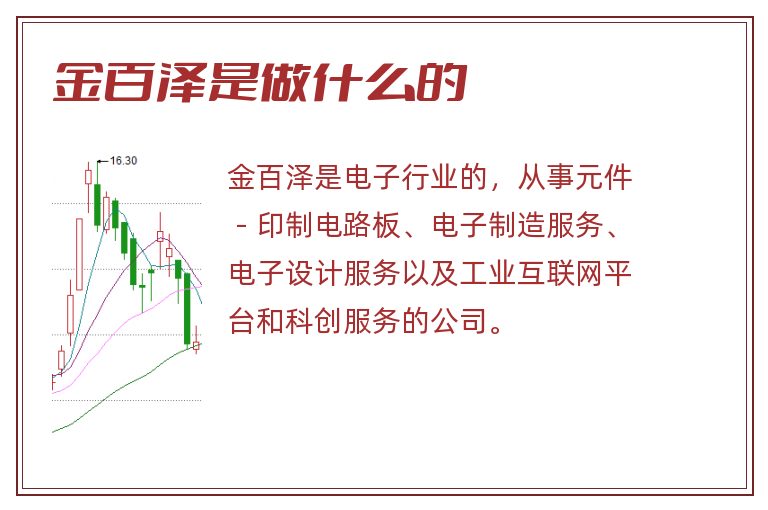 金百泽是做什么的