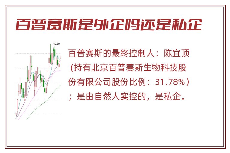 百普赛斯是外企吗还是私企