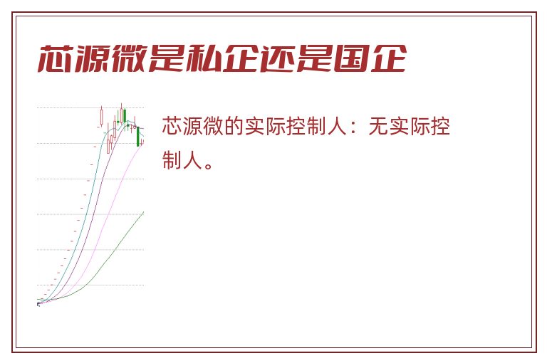 芯源微是私企还是国企