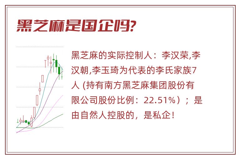 黑芝麻是国企吗？