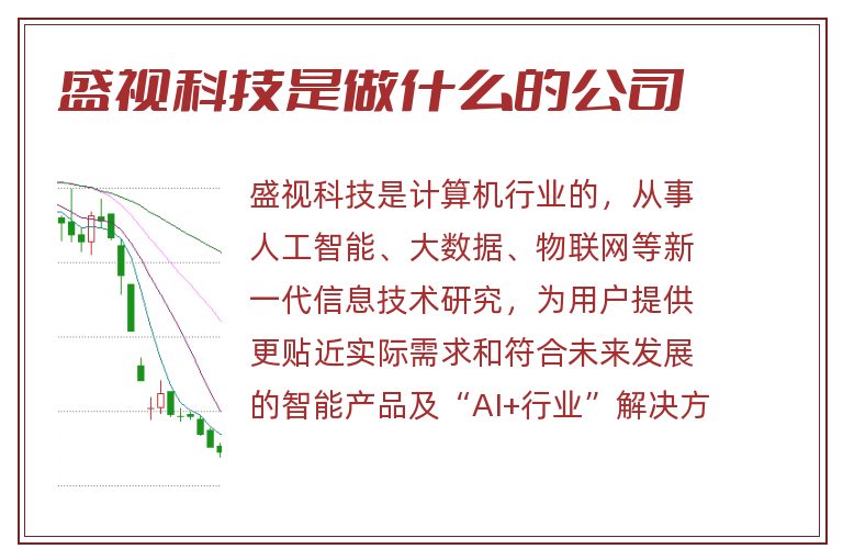 盛视科技是做什么的公司