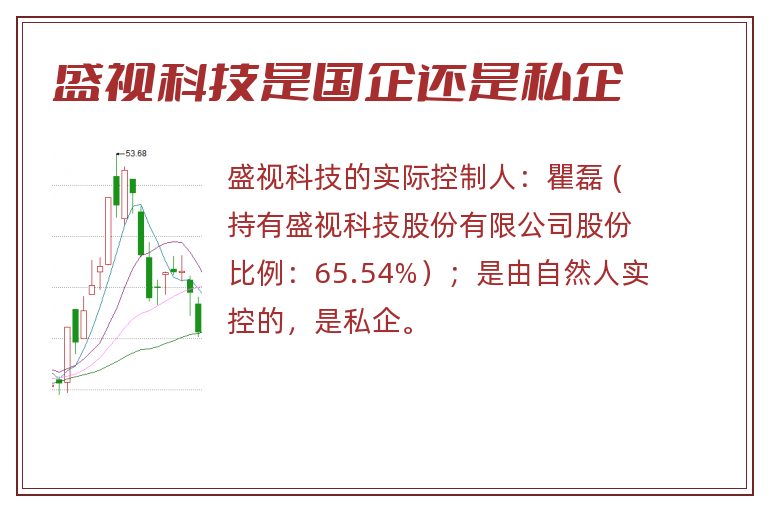 盛视科技是国企还是私企