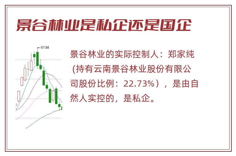 景谷林业是私企还是国企