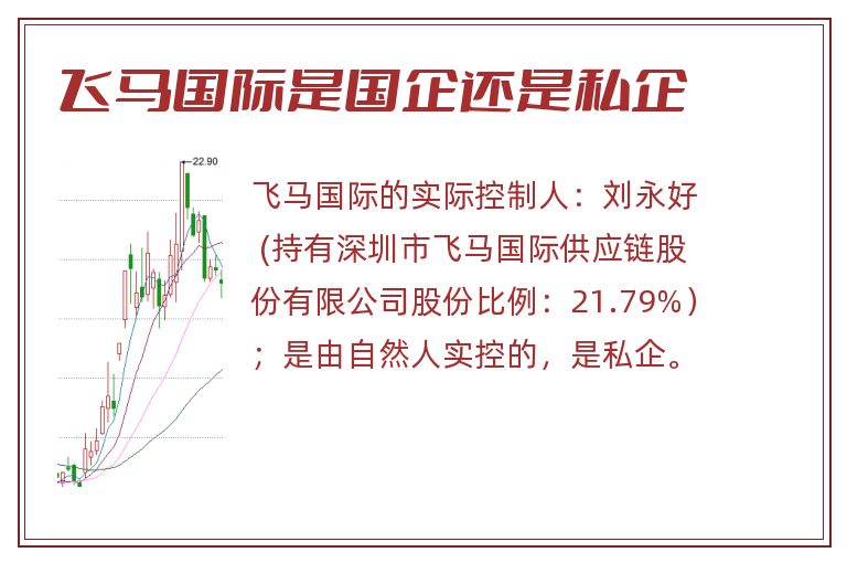 飞马国际是国企还是私企