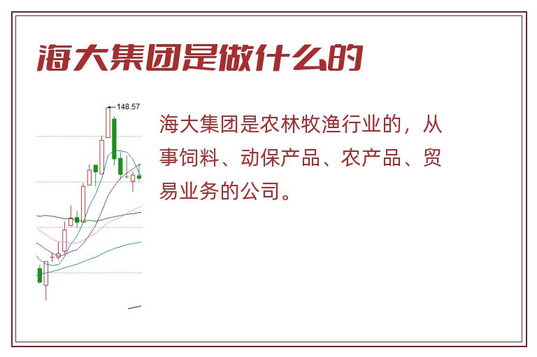 海大集团是做什么的