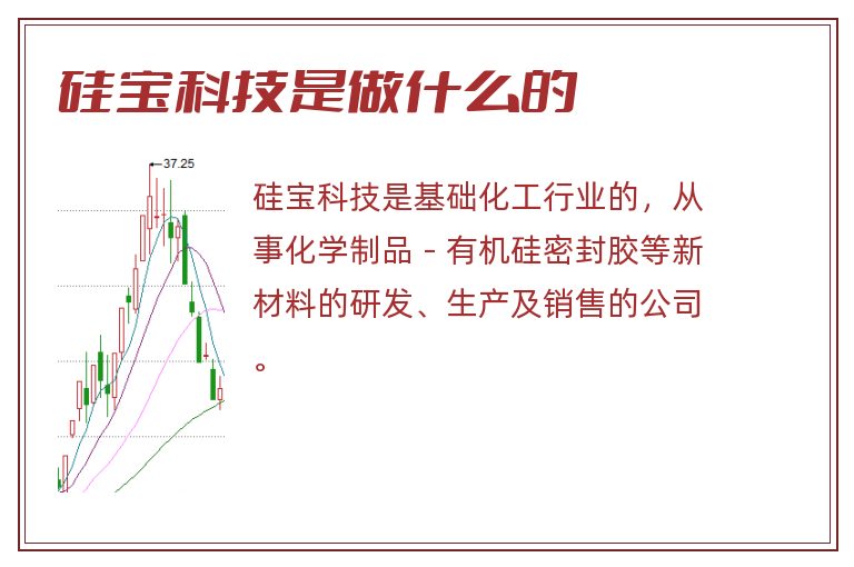 硅宝科技,硅宝科技是做什么的.jpg