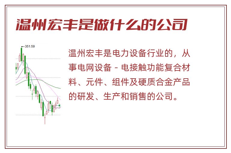 温州宏丰是做什么的公司