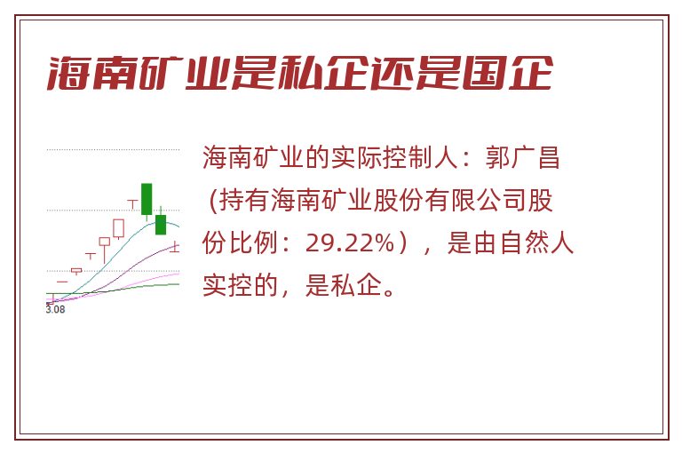 海南矿业是私企还是国企