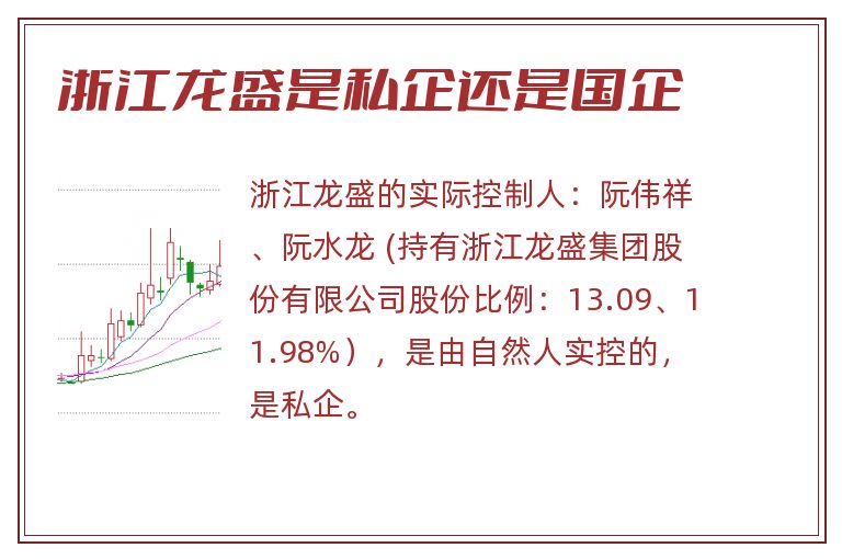 浙江龙盛是私企还是国企