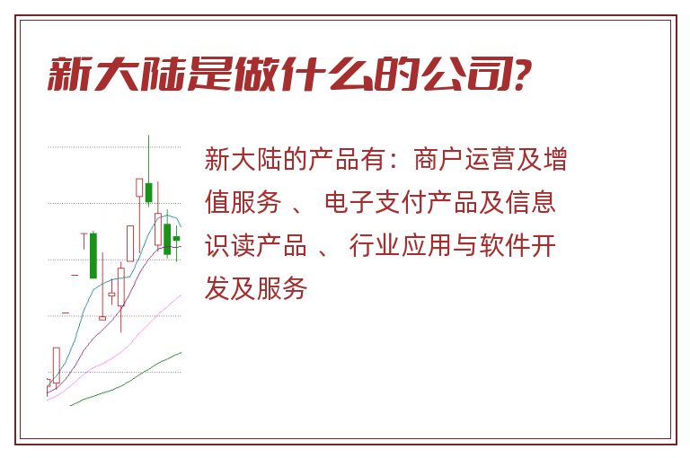 新大陆是做什么的公司？